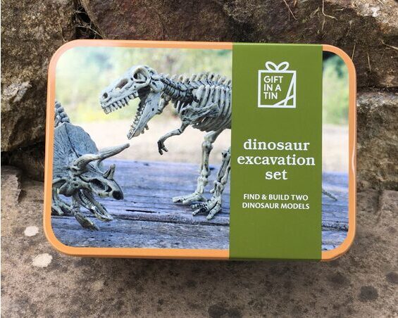 Geschenkbox - Dinosaurier Ausgrabungs Set