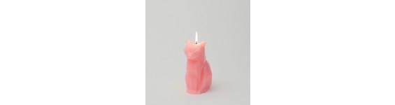Candle Kisa the Pyro Pet