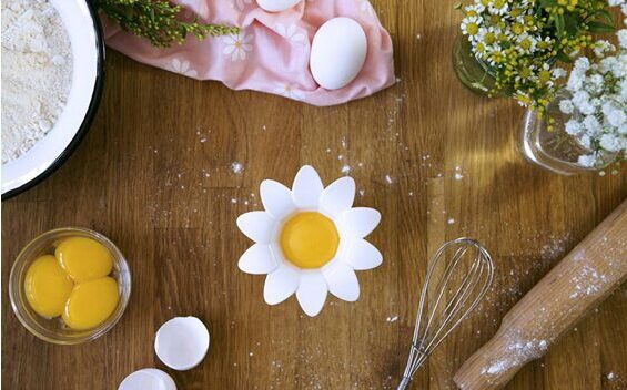 Daisy Egg Separator Eiertrenner
