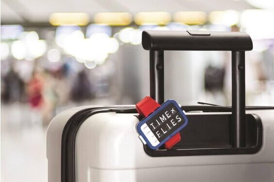 Time Flies - Etiquettes à bagages