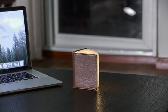 Mini Smart Book Light leather brown