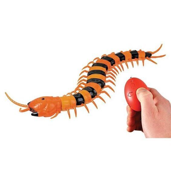 Real RC Centipede / Der echte Tausendfüssler