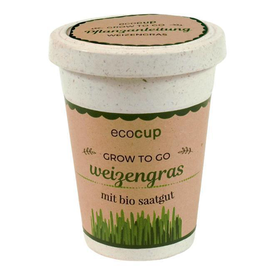 EcoCup Wheatgrass