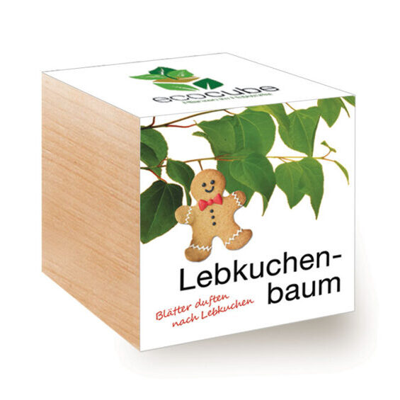 Ecocube Lebkuchenbaum