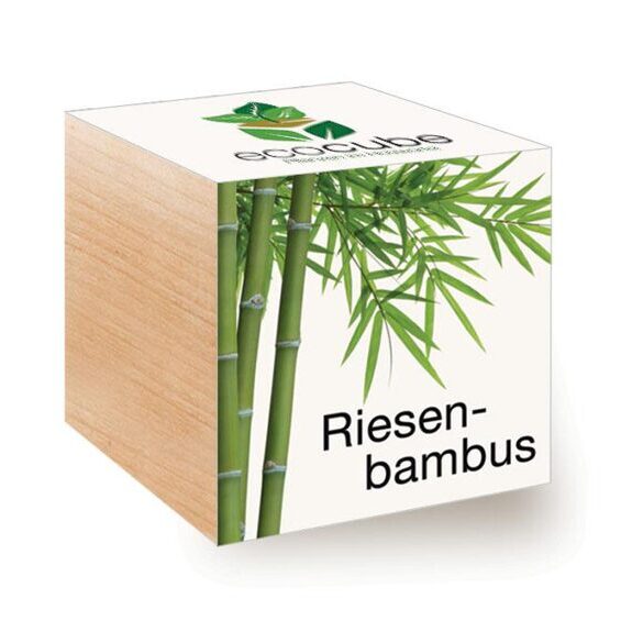 Ecocube Giant Bamboo