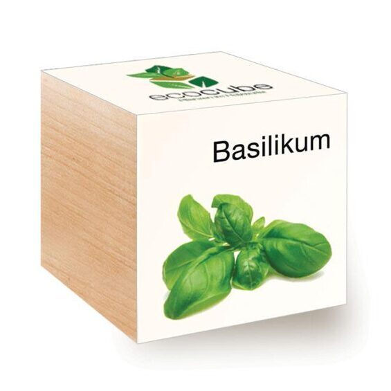 Ecocube Basil