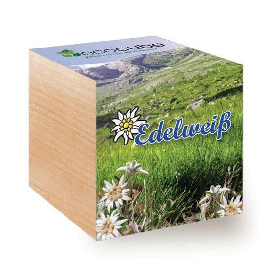 Ecocube Edelweiss Mountains