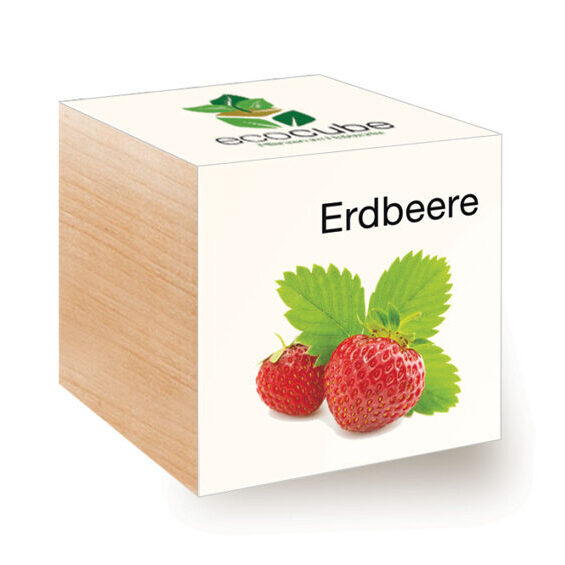 Ecocube Erdbeere