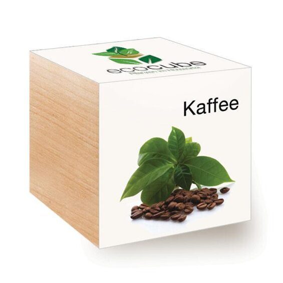 Ecocube Kaffee