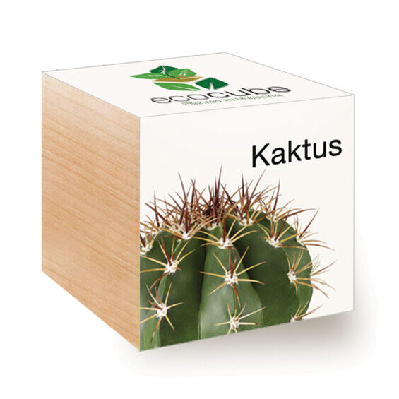 Ecocube Cactus