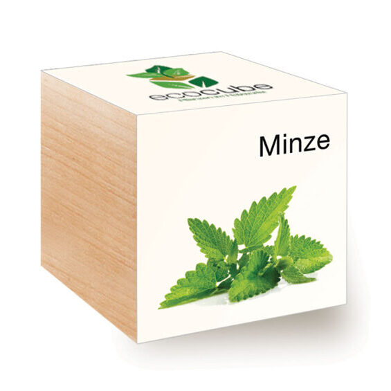 Ecocube Minze