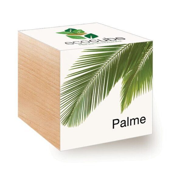Ecocube Palme