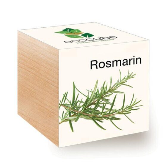 Ecocube Rosemary