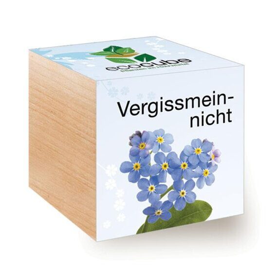 Ecocube Forget-me-not