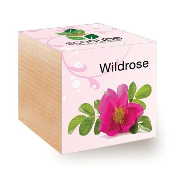 Ecocube Wild Rose