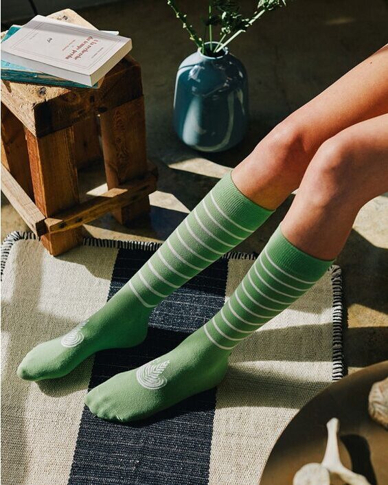 Latte Socks / Socks